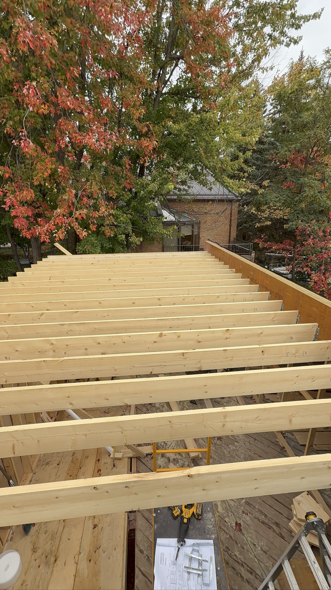 Top-down view of floor joists during framing — Rouge Home Development Inc., GTA home addition
