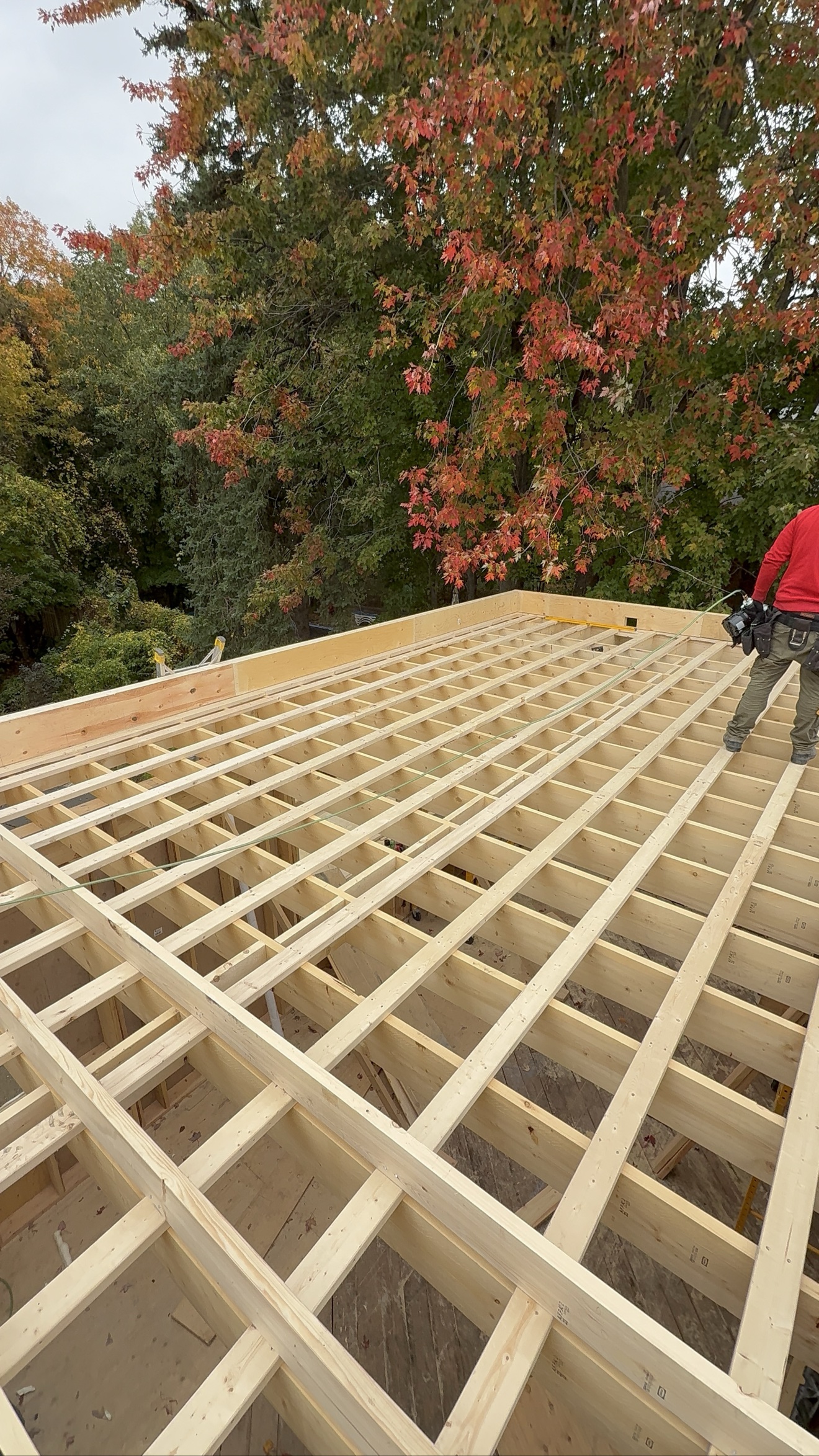 Floor joist framing viewed from above, second angle — Rouge Home Development Inc. GTA addition