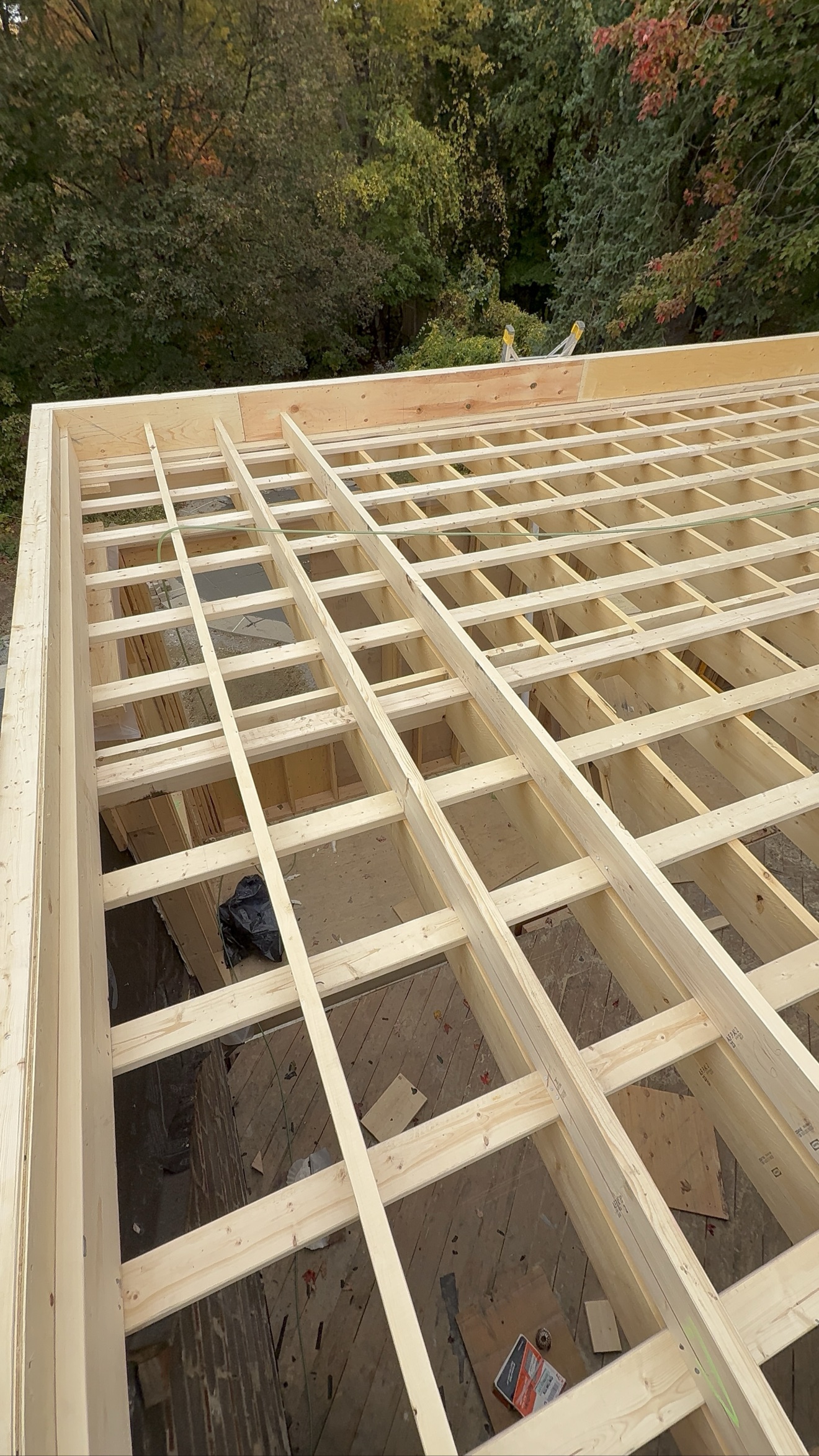 Plywood roof deck installed on new addition framing — Rouge Home Development Inc.